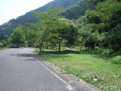 夢の森公園キャンプ場
