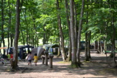 とことん山キャンプ場