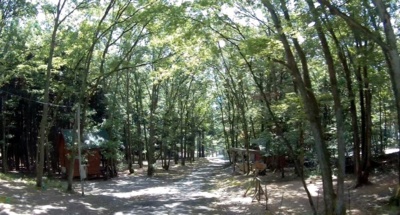 奥琵琶湖キャンプ場