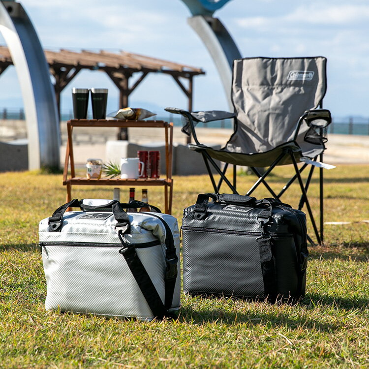 クーラーバッグ 12 AOパック カーボン ソフトクーラー【Coolers クーラーズ クーラーボックス aoクーラー 保冷 折りたたみ アウトドア レジャー キャンプ用品 行楽 運動会 おしゃれ 大容量 買い物 保冷バッグ 可愛い かわいい プレゼント ギフト プール 父の日 実用的】
